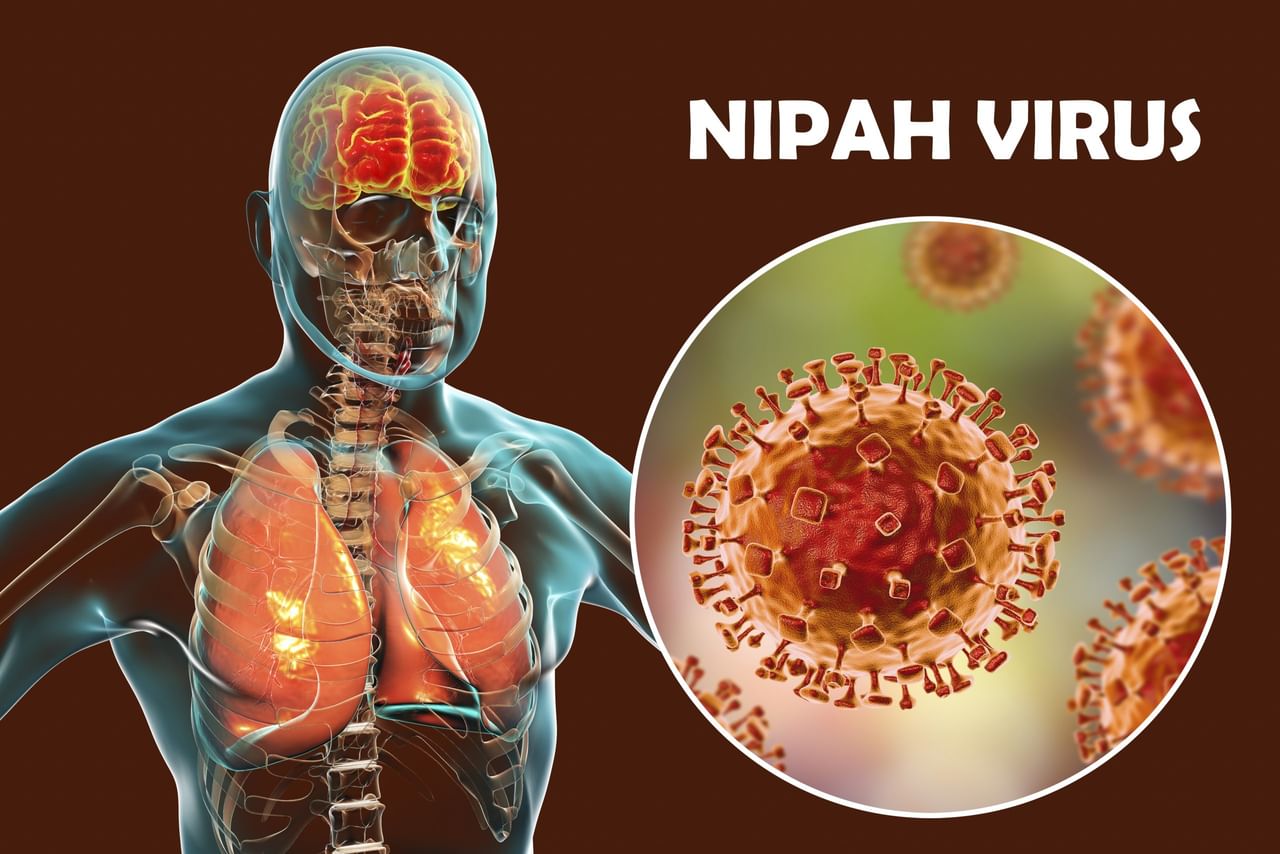 Nipah Virus: നിപ ഭീതി പടരുന്നു; മാസ്ക് നിർബന്ധമാക്കി; സ്കൂളുകൾക്ക് കർശന നിയന്ത്രണം