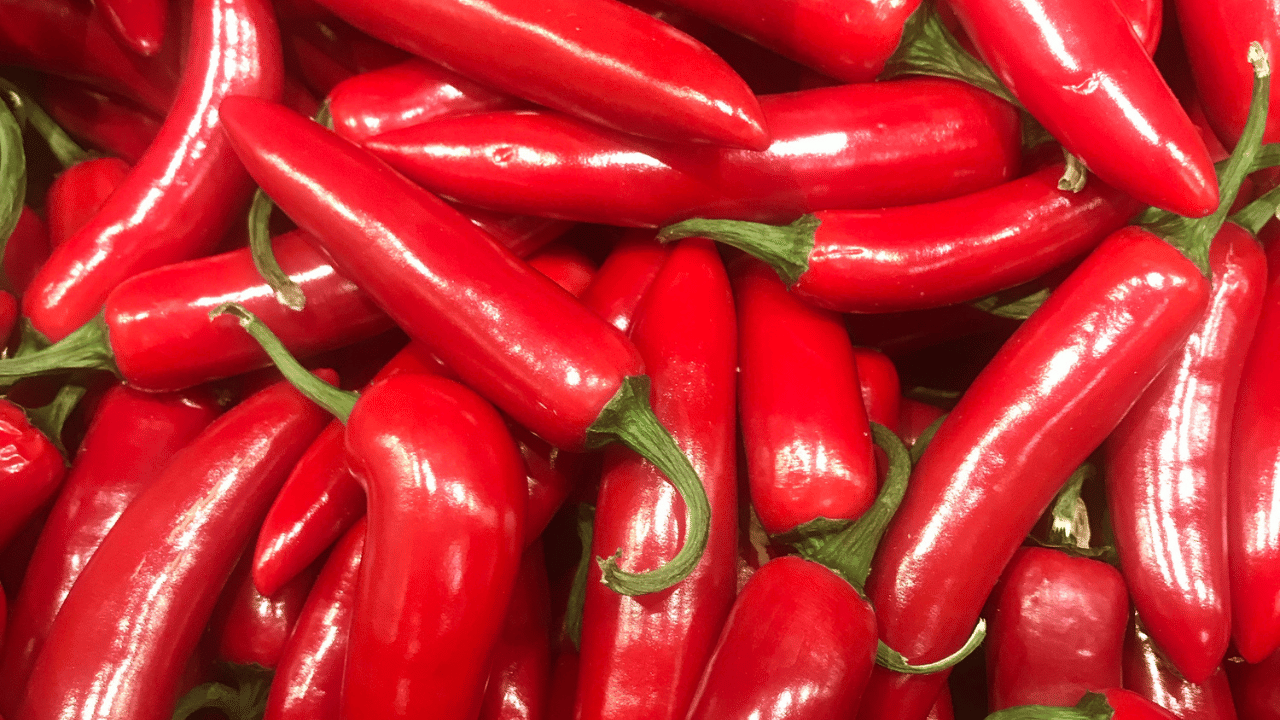 Kanthari chilli rate: കുതിച്ചുയർന്ന് കാന്താരി വില; ഇത് കൃഷിക്കു പറ്റിയ സമയം