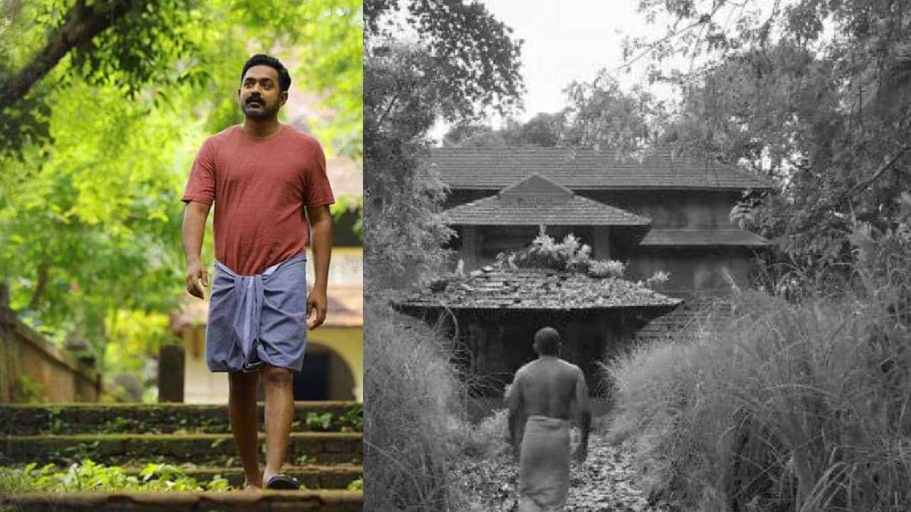 Kishkindha Kaandam: ഞെട്ടിച്ചു കളഞ്ഞ ലൊക്കേഷൻ; ആദ്യം ഷൂട്ട്‌ ചെയ്തത് കിഷ്കിന്ധാ കാണ്ഡം, റിലീസ് ചെയ്തത് ഭ്രമയുഗം, പക്ഷെ?