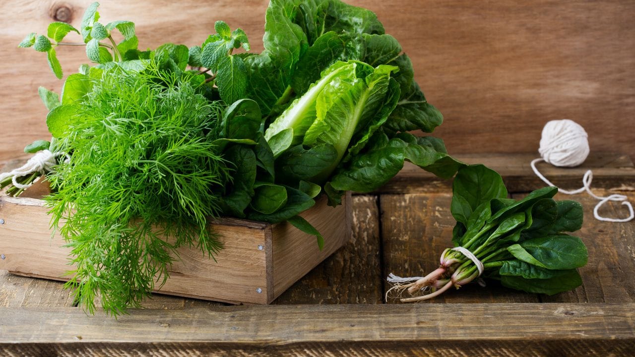 ചീര- ഡയറ്റ് എടുക്കുന്നവര്‍ക്ക് കഴിക്കാവുന്ന ഏറ്റവും മികച്ച പച്ചക്കറിയാണ് ചീര. നമ്മുടെ ശരീരത്തിന് ആവശ്യമായ ധാരാളം പോഷകങ്ങള്‍ ചീരയില്‍ അടങ്ങിയിട്ടുണ്ട്. മാത്രമല്ല ശ്വാസകോശ സംബന്ധമായ അസുഖങ്ങള്‍ക്ക് പരിഹാരം കണ്ടെത്താനും ചീര സഹായിക്കും. വിറ്റാമിന്‍ എ, സി, ഇ, കെ, പൊട്ടാസ്യം, കാത്സ്യം തുടങ്ങി ഒട്ടേറെ പോഷകങ്ങള്‍ ചീരയില്‍ അടങ്ങിയിട്ടുണ്ട്. മാത്രമല്ല അയണിന്റെ കലവറ കൂടിയാണ് ചീര. ആന്റിഓക്‌സിഡന്റുകള്‍, ധാതുക്കള്‍, പ്രോട്ടീന്‍, നാരുകള്‍ എന്നിവയാല്‍ സമ്പുഷ്ടമായ ചീര ദഹന പ്രക്രിയ എളുപ്പത്തിലാക്കുന്നു. മാത്രമല്ല ചീരയില്‍ അടങ്ങിയിട്ടുള്ള പൊട്ടാസ്യം രക്തസമ്മര്‍ദം കുറയ്ക്കാനും സഹായിക്കും. (istetiana/Getty Images Creative)