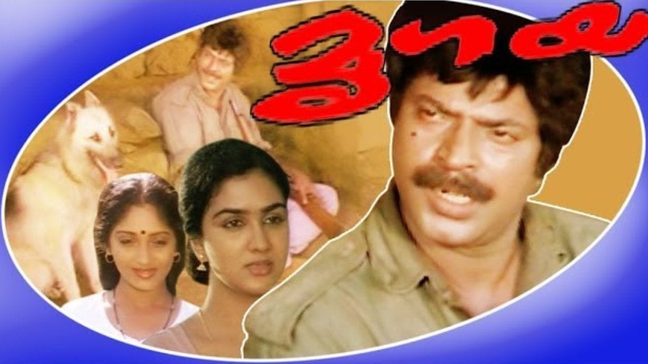 മൃഗയ: മമ്മൂട്ടിയെ നായകനാക്കി ഐ വി ശശി സംവിധാനം ചെയ്ത ചിത്രമാണ് 'മൃഗയ'. 1989-ൽ പുറത്തിറങ്ങിയ ചിത്രത്തിന്റെ രചയിതാവ് ലോഹിത ദാസാണ്. ചിത്രത്തിൽ വാറുണ്ണി എന്ന വേട്ടക്കാരന്റെ കഥാപാത്രത്തെയാണ് മമ്മൂട്ടി അവതരിപ്പിച്ചത്. പുലിയെ കൊല്ലാനായി വാറുണ്ണി ഒരു ഗ്രാമത്തിൽ വരുന്നു. അവിടെ വെച്ച് ഒരു പെൺകുട്ടിയെ ചൊല്ലി ഉണ്ടായ വഴക്കിൽ വാറുണ്ണി അബദ്ധത്തിൽ ഒരാളെ കൊല്ലുന്നതും, പിന്നീട് ഉണ്ടാകുന്ന സംഭവങ്ങളെയും ചുറ്റിപ്പറ്റിയാണ് കഥ. പട്ടാള പച്ച യൂണിഫോം ധരിച്ച് പല്ലു കറുപ്പിച്ച് വേറിട്ട വേഷത്തിൽ എത്തിയ മമ്മൂട്ടിയെ തേടിയെത്തിയത് മികച്ച നടനുള്ള ദേശീയ അവാർഡാണ്.