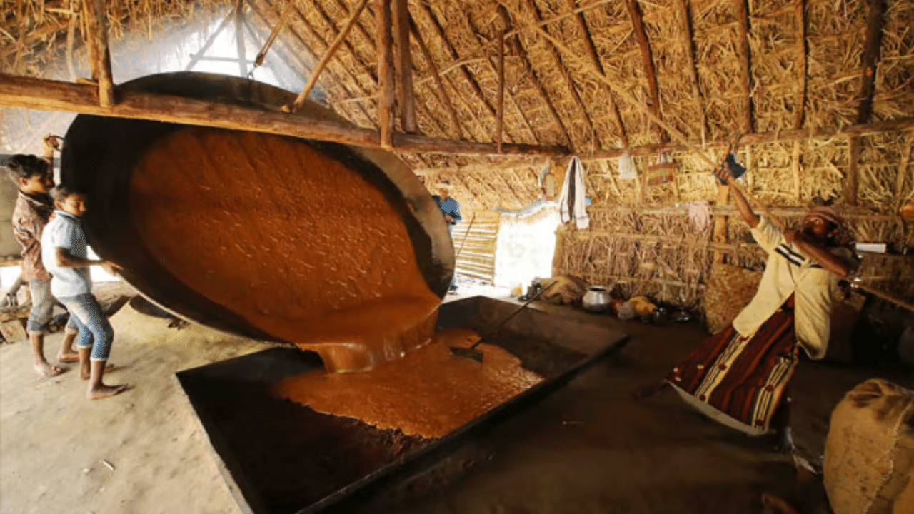 Marayur Jaggery: ഓണം മധുരമാക്കാൻ മറയൂർ ശർക്കര; 50 കിലോ ചാക്കിന് 4000 രൂപ വരെ