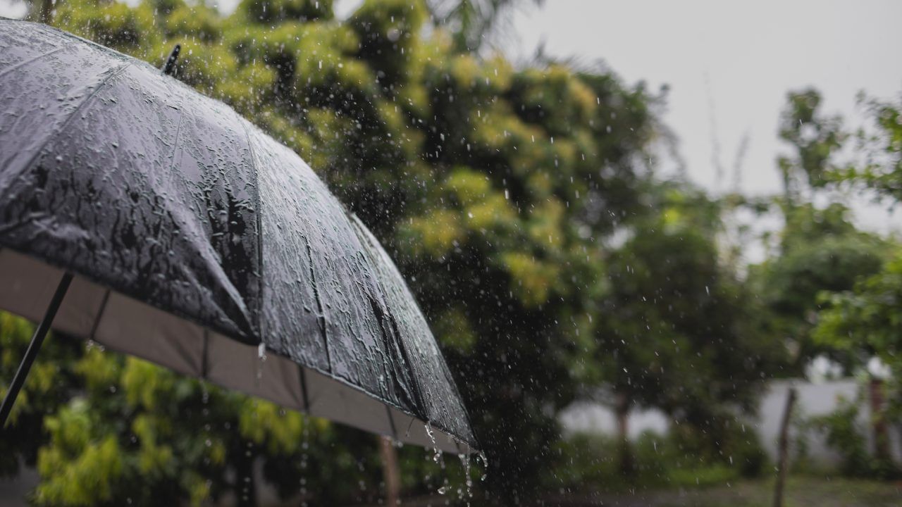 Kerala Rain Alert : സംസ്ഥാനത്ത് മഴ തുടരും; അടുത്ത ഏഴ് ദിവസം നേരിയ മഴയ്ക്ക് സാധ്യതയെന്ന് കാലാവസ്ഥാ വകുപ്പ്