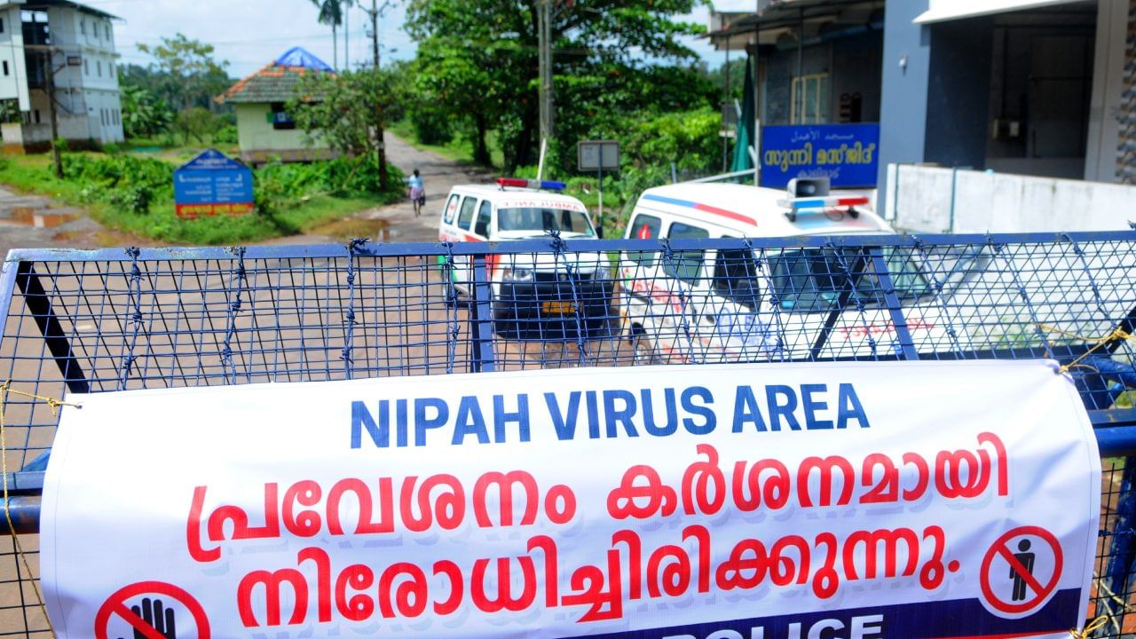 Nipah Virus : നിപ ബാധയിൽ മലപ്പുറത്ത് അഞ്ച് വാർഡുകൾ കണ്ടെയിന്മെൻ്റ് സോൺ; നബിദിന റാലി മാറ്റിവച്ചു Nipah Virus : നിപ ബാധയിൽ മലപ്പുറത്ത് അഞ്ച് വാർഡുകൾ കണ്ടെയിന്മെൻ്റ് സോൺ; നബിദിന റാലി മാറ്റിവച്ചു