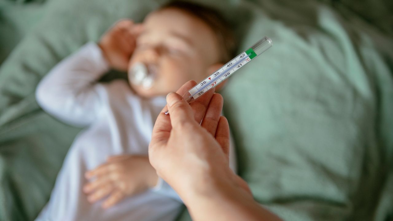 RS Virus : സംസ്ഥാനത്ത് ആർഎസ് വൈറസ് ബാധ; അങ്കമാലിയിൽ അഞ്ച് കുട്ടികൾ ആശുപത്രിയിൽ RS Virus : സംസ്ഥാനത്ത് ആർഎസ് വൈറസ് ബാധ; അങ്കമാലിയിൽ അഞ്ച് കുട്ടികൾ ആശുപത്രിയിൽ