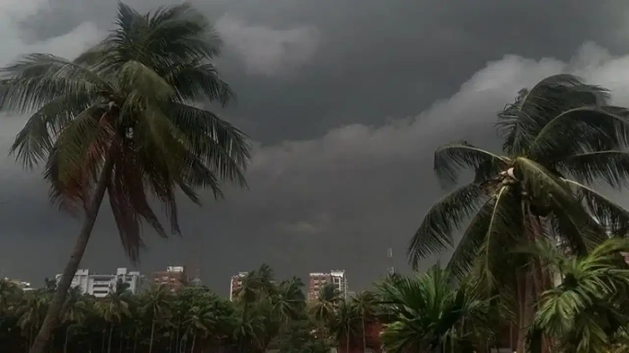Kerala Rain Alert: ആശ്വസിക്കാൻ വരട്ടേ... മുന്നറിയിപ്പ് ഇല്ലന്നേ ഉള്ളു! ഇടിമിന്നലോടുകൂടിയ മഴ തുടരും