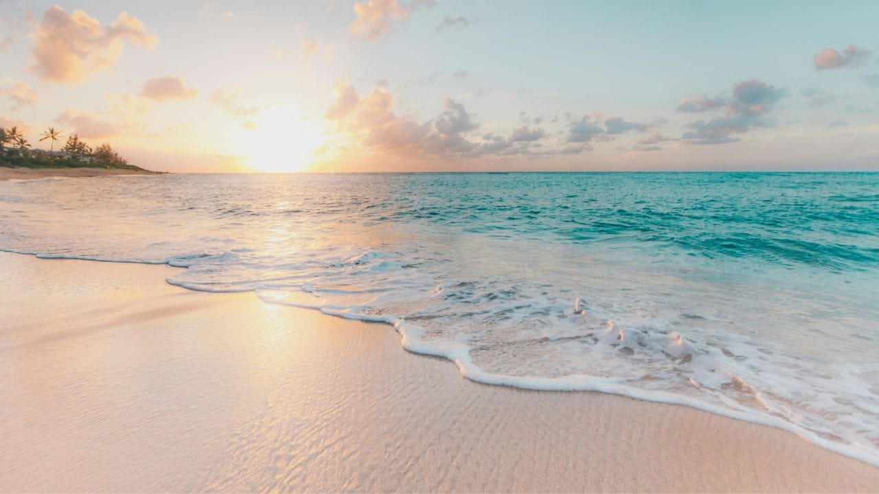 കടലിന്റെ അടിത്തട്ടില്‍ വെള്ളി കുമിഞ്ഞുകൂടുന്നതായി റിപ്പോര്‍ട്ട്. ദക്ഷിണ ചൈന കടലിലും വിയറ്റനാമിന്റെ തീര മേഖലകളിലുമാണ് വെള്ളി കുമിഞ്ഞുകൂടുന്നതെന്നാണ് ഗവേഷകര്‍ കണ്ടെത്തിയിട്ടുള്ളത്. ആഗോളതാപനമാണ് ഇതിന് കാരണമെന്നാണ് ഗവേഷകര്‍ പറയുന്നത്. (Image Credits: Unsplash)