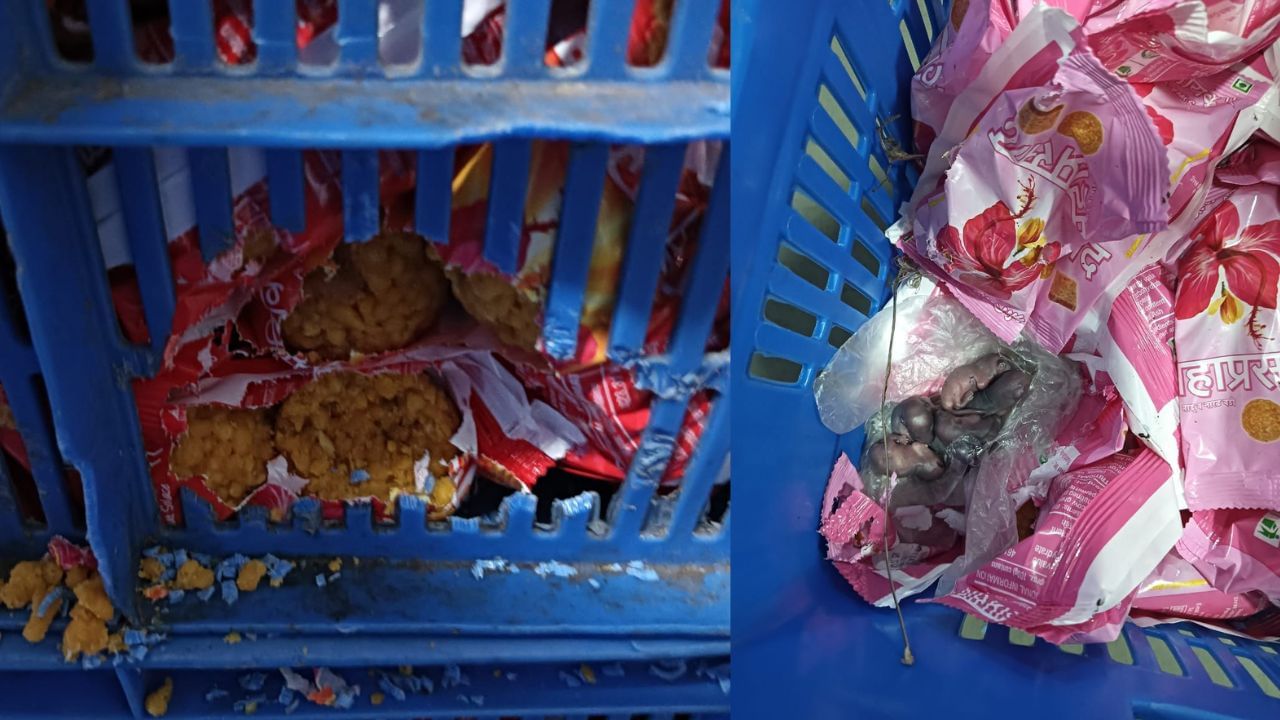 Siddhivinayak Temple Prasadam : പ്രസാദപ്പൊതിയിൽ എലിക്കുഞ്ഞുങ്ങൾ; അന്വേഷണം പ്രഖ്യാപിച്ച് ക്ഷേത്രം ട്രസ്റ്റ് Siddhivinayak Temple Prasadam : പ്രസാദപ്പൊതിയിൽ എലിക്കുഞ്ഞുങ്ങൾ; അന്വേഷണം പ്രഖ്യാപിച്ച് ക്ഷേത്രം ട്രസ്റ്റ്