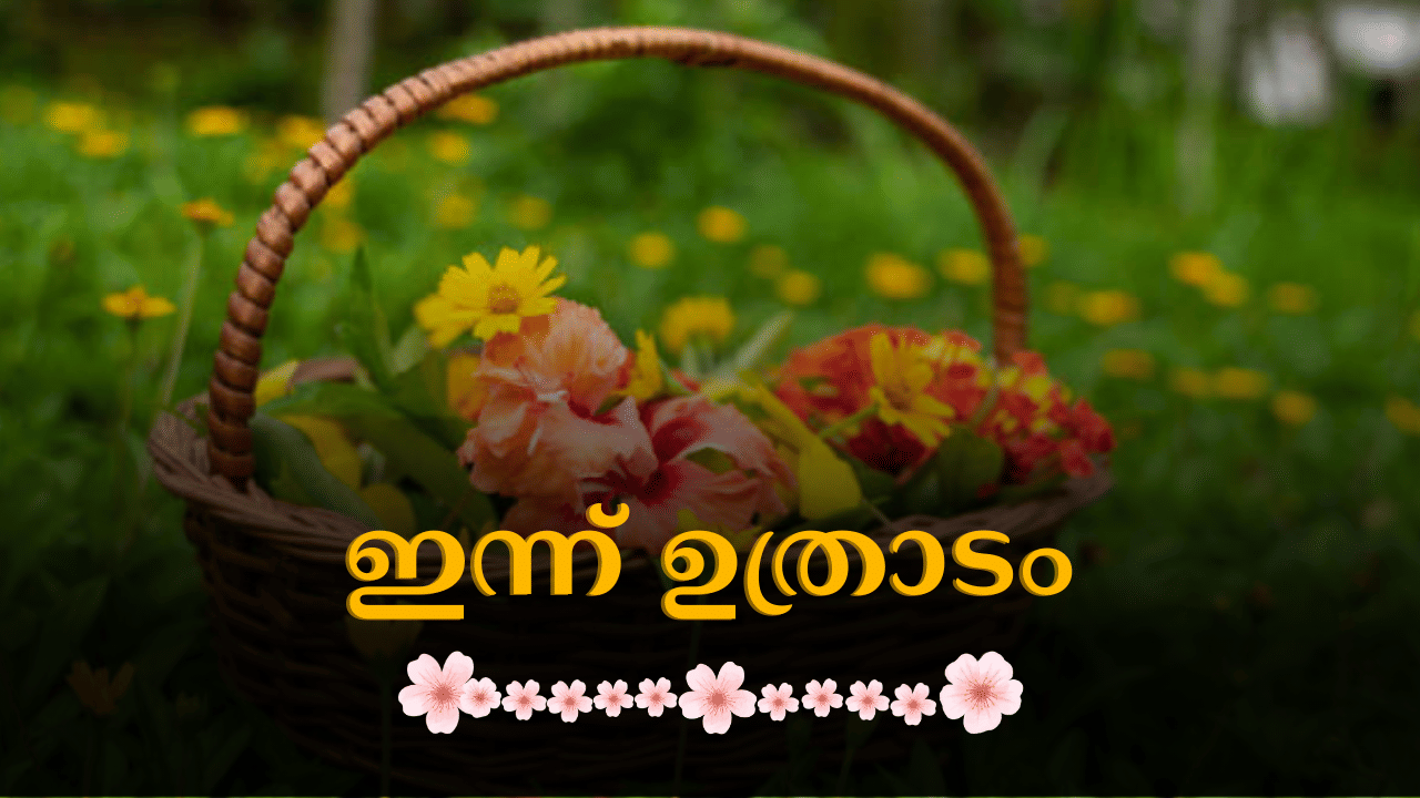 Onam 2024: പൂവേ പൊലി പൂവേ പൊലി... ഉത്രാടപൂവിളിയിൽ കേരളക്കര; തിരുവോണമുണ്ണാൻ ഇനി ഒരു നാൾ മാത്രം, ഇന്ന് ഉത്രാടം Onam 2024: പൂവേ പൊലി പൂവേ പൊലി... ഉത്രാടപൂവിളിയിൽ കേരളക്കര; തിരുവോണമുണ്ണാൻ ഇനി ഒരു നാൾ മാത്രം, ഇന്ന് ഉത്രാടം
