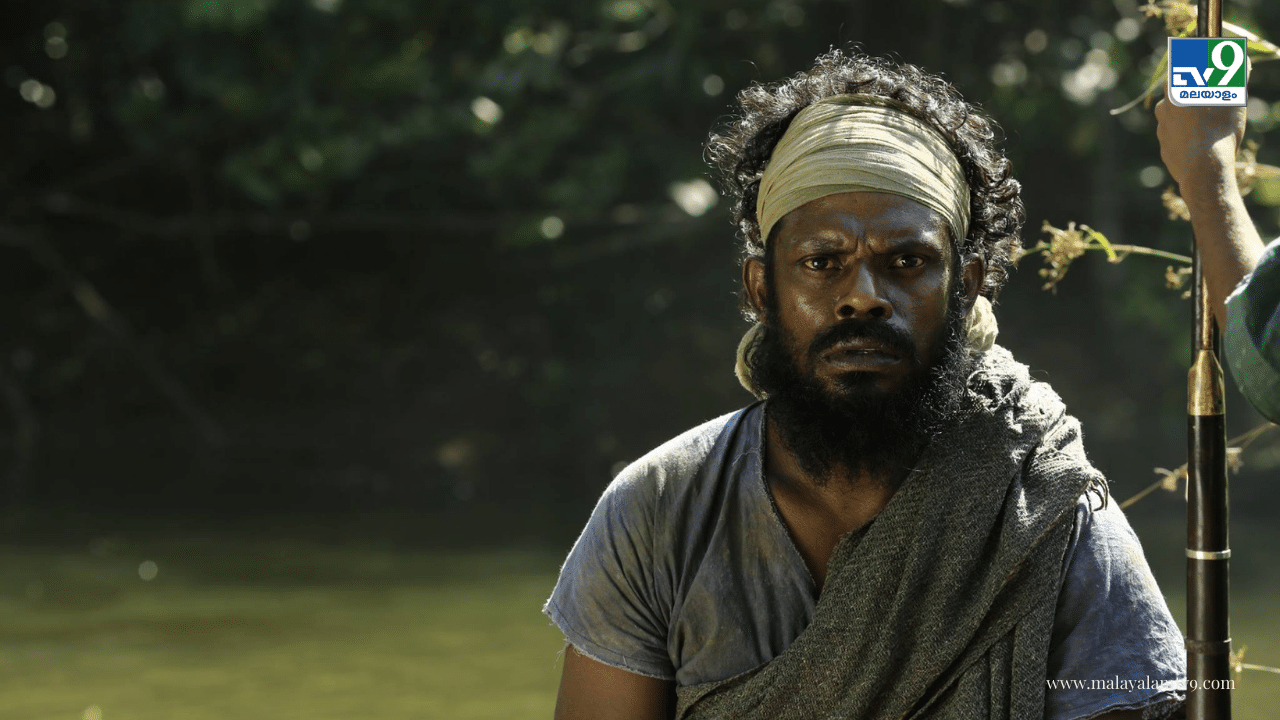 Actor Vinayakan: സിഐഎസ്എഫ് ഉദ്യോഗസ്ഥരോടുള്ള തർക്കം; നടൻ വിനായകന് ജാമ്യം