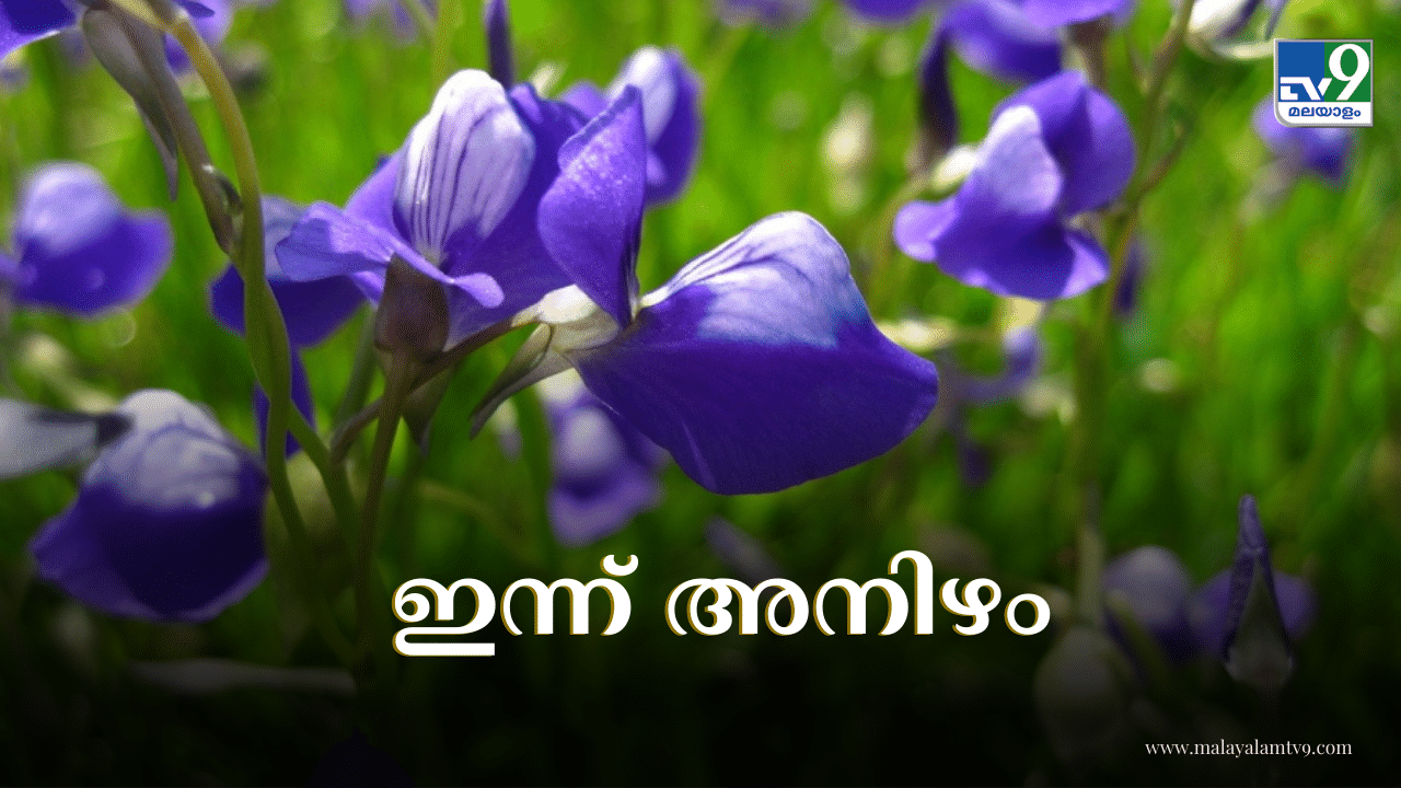 Onam 2024: തിരുവോണത്തിന് ഇനി പകുതി ദൂരം മാത്രം….; ഇന്ന് അഞ്ചാം നാളായ അനിഴം, പ്രത്യേകതകൾ അറിയണ്ടേ Onam 2024: തിരുവോണത്തിന് ഇനി പകുതി ദൂരം മാത്രം….; ഇന്ന് അഞ്ചാം നാളായ അനിഴം, പ്രത്യേകതകൾ അറിയണ്ടേ