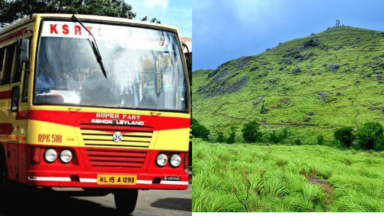 പൊൻമുടി പാക്കേജിൽ സാധാരണയായി 770 രൂപയാണ് ഈടാക്കുന്നത്. സദ്യക്ക് അധികമായി നൽകേണ്ടത് 200 രൂപയാണ്. സദ്യ വേണ്ടവർക്ക് ഈ പണം നൽകി സദ്യ കഴിക്കാം. അല്ലാത്തവർക്ക് സാധാരണ ഭക്ഷണവും കഴിക്കാനുള്ള അവസരമുണ്ട്. പൊൻമുടി പാക്കേജിൽ ഓണസദ്യ മാത്രമല്ല കേട്ടോ ഉൾപ്പെടുന്നത്.