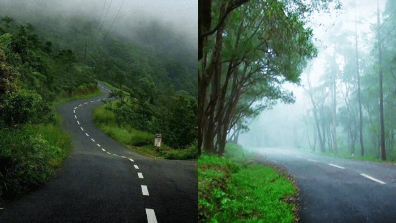 ഈ കാഴ്ചയെല്ലാം കഴിഞ്ഞാൽ ഉച്ചയോടെ പൊൻമുടിയിലേക്കായി പിന്നീട് യാത്ര. കോടമഞ്ഞും തണുപ്പും തേയില തോട്ടങ്ങളും മലനിരകളും എല്ലാമായി 22 ഹെയർപിൻ വളവ് താണ്ടി പൊൻമുടിയിലെത്തുന്നു. ഈ യാത്രയിൽ ഹോട്ടലിൽ കയറി വയറ് നിറയെ ഓണസദ്യയും കഴിക്കാവുന്നതാണ്.