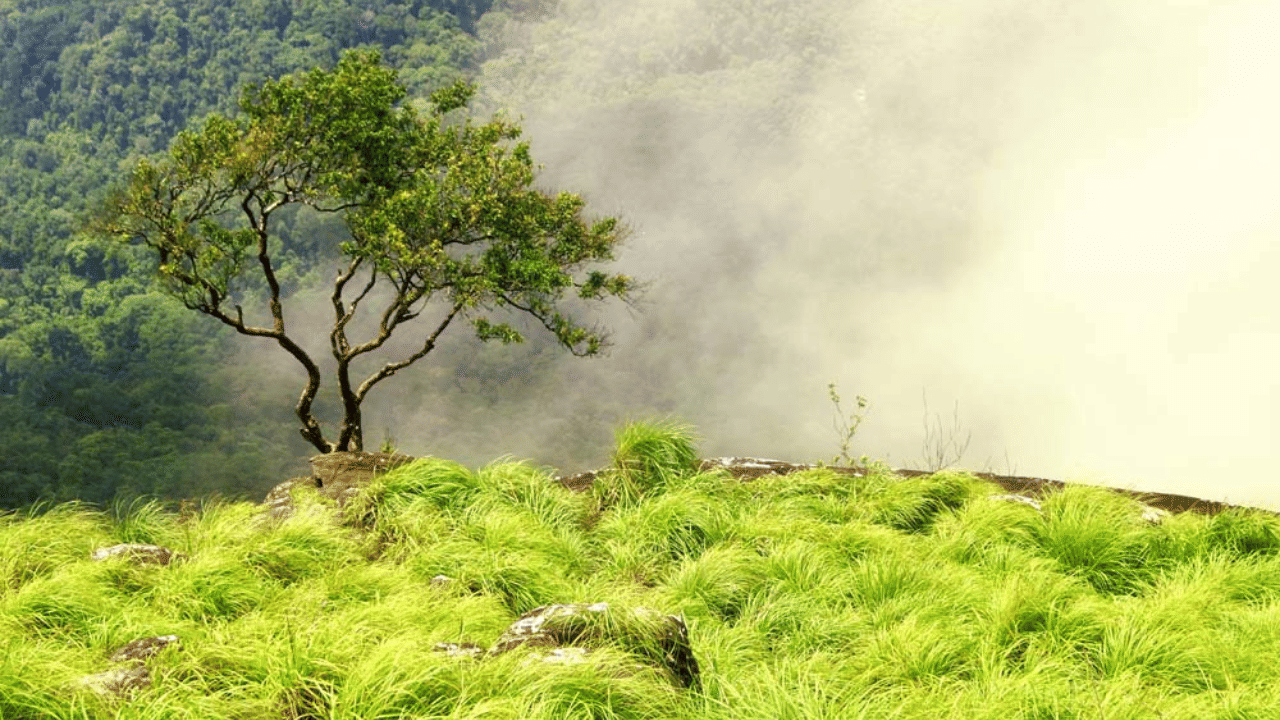 രാത്രി ഒമ്പത് മണിയോടെ യാത്ര തിരിച്ച് കൊല്ലത്ത് എത്തിച്ചേരും. യാത്രകളെ കുറിച്ചുള്ള കൂടുതൽ അന്വേഷണങ്ങൾക്കും ബുക്കിങ്ങിനും 9747969768, 8921950903, 9495440444 എന്നീ നമ്പറുകളിൽ നിങ്ങൾക്ക് ബന്ധപ്പെടാവുന്നതാണ്.
