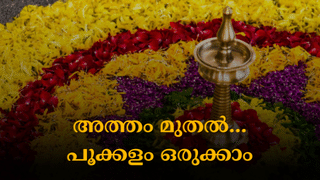 Onam 2024: എരിവും പുളിയും ഉപ്പും സമാസമം; തയ്യാറാക്കാം പുളിയിഞ്ചി