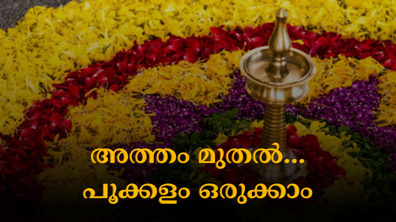 Onam 2024: ഓണത്തിന് അത്തപൂക്കളമിടുന്നതിനും ചില രീതികളുണ്ട്… അത്തം മുതൽ തിരുവോണം വരെ പൂക്കളം ഒരുക്കേണ്ടത് ഇങ്ങനെ Onam 2024: ഓണത്തിന് അത്തപൂക്കളമിടുന്നതിനും ചില രീതികളുണ്ട്… അത്തം മുതൽ തിരുവോണം വരെ പൂക്കളം ഒരുക്കേണ്ടത് ഇങ്ങനെ