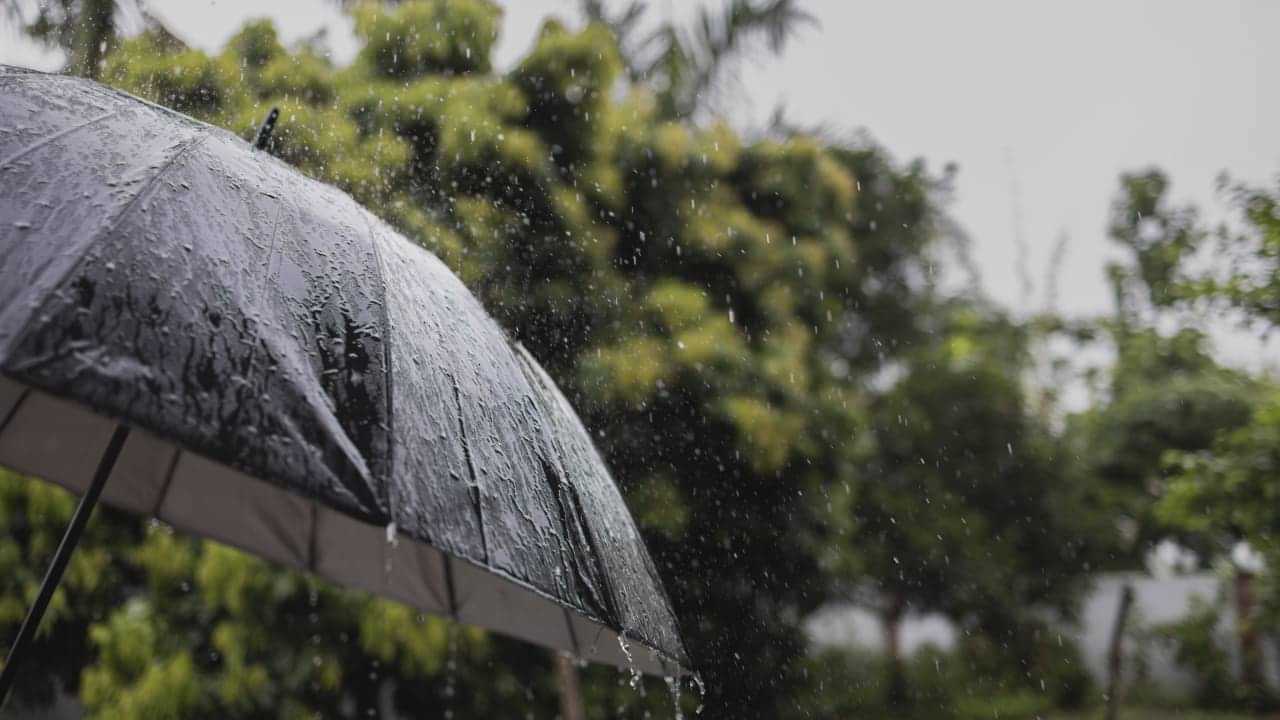 Kerala Rain Alert Today: വടക്കന്‍ കേരളത്തില്‍ മഴ കനക്കും; മൂന്ന് ജില്ലകളില്‍ യെല്ലോ അലര്‍ട്ട്