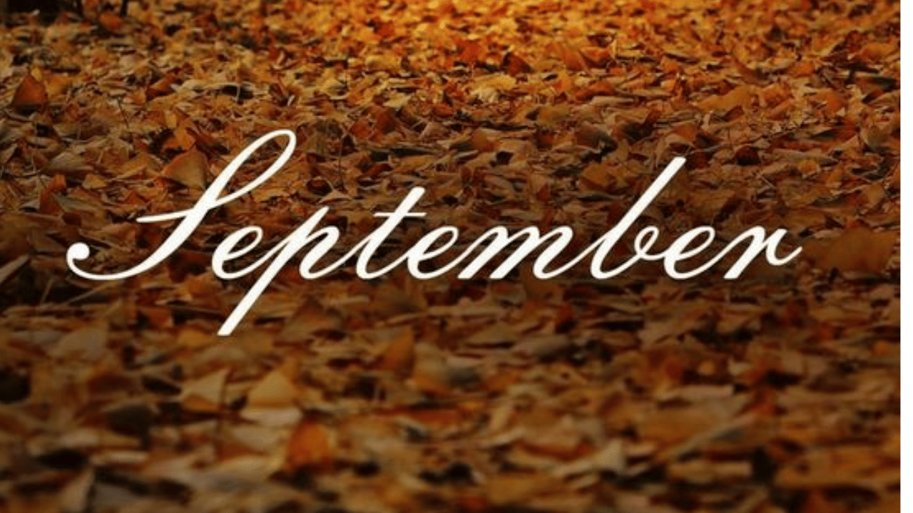 September Holidays: ഓണം മുതൽ തുടങ്ങും... സെപ്റ്റംബറിലെ പ്രധാന അവധി ദിനങ്ങൾ അറിയാം September Holidays: ഓണം മുതൽ തുടങ്ങും... സെപ്റ്റംബറിലെ പ്രധാന അവധി ദിനങ്ങൾ അറിയാം