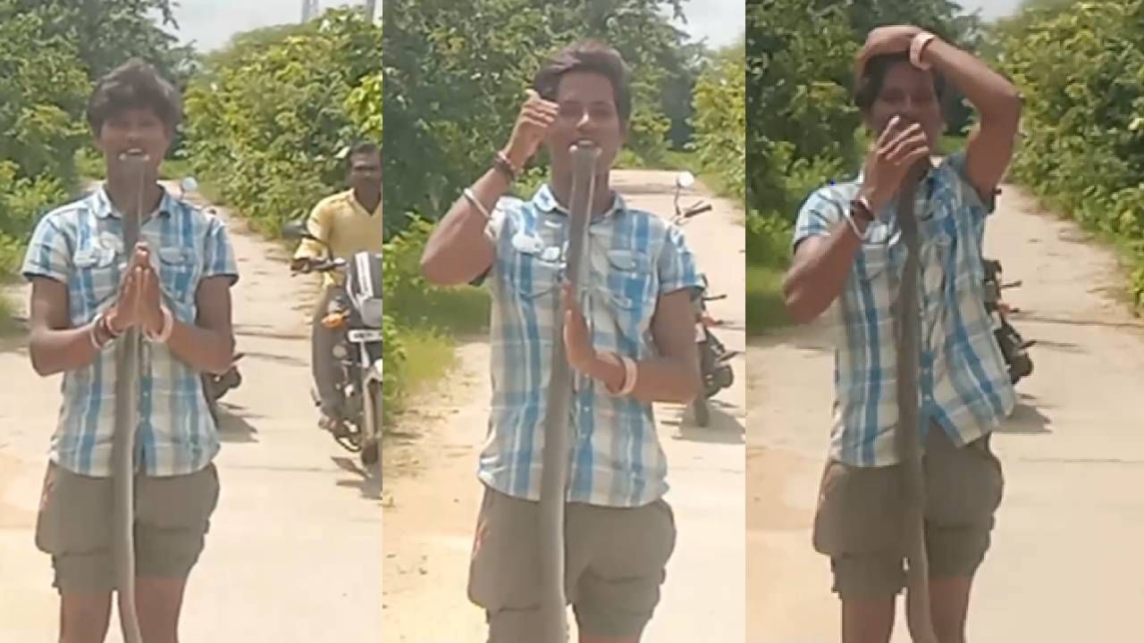 Viral video: ‘റീൽ അല്ല മോനെ ഇത് റിയലാണ്’: മൂർഖൻ പാമ്പിനെ എടുത്ത് വീഡിയോ പകർത്തുന്നതിനിടെ കടിയേറ്റ് യുവാവ് മരിച്ചു