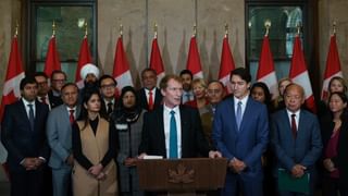 UAE Wheat Production : 19 ശതമാനം പ്രോട്ടീൻ അടങ്ങിയ ഗോതമ്പ് ഉത്പാദിപ്പിക്കാൻ യുഎഇ; ഷാർജയിൽ പ്രത്യേക ലാബ്