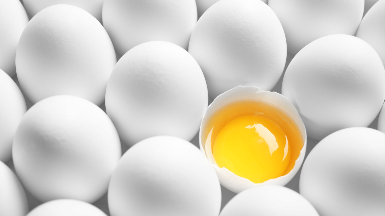 Benefits of Egg: മുട്ട കഴിച്ചാൽ ഉയരം വെക്കുമോ? അറിയാം വിശദമായി