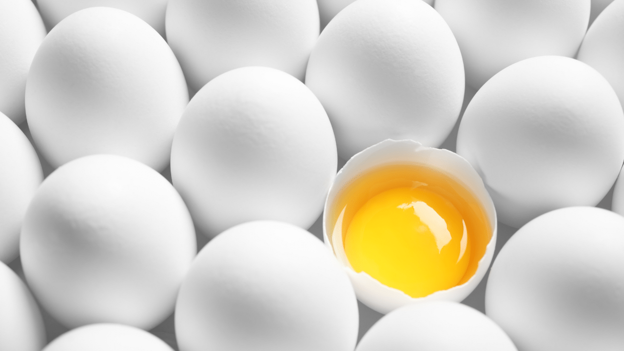 Benefits of Egg: മുട്ട കഴിച്ചാൽ ഉയരം വെക്കുമോ? അറിയാം വിശദമായി