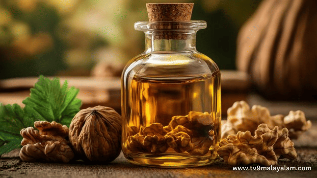 ദിവസവും ഒരു പിടി വാൾനട്സ് കഴിക്കുന്നതും ചർമ്മത്തിനും തലമുടിക്കും ​ഗുണം ചെയ്യും.  ഇരുമ്പ്, സിങ്ക് , കാത്സ്യം, പ്രോട്ടീൻ, നാരുകൾ എന്നിവയും വാൾനട്സിൽ അടങ്ങിയിട്ടുണ്ട്. അതിനാൽ തലച്ചോറിൻറെ ആരോഗ്യത്തിനും ഓർമ്മ ശക്തി കൂട്ടാനുമെല്ലാം വാൾനട്സ് മികച്ചതാണ്. (Image Credits: Freepik)