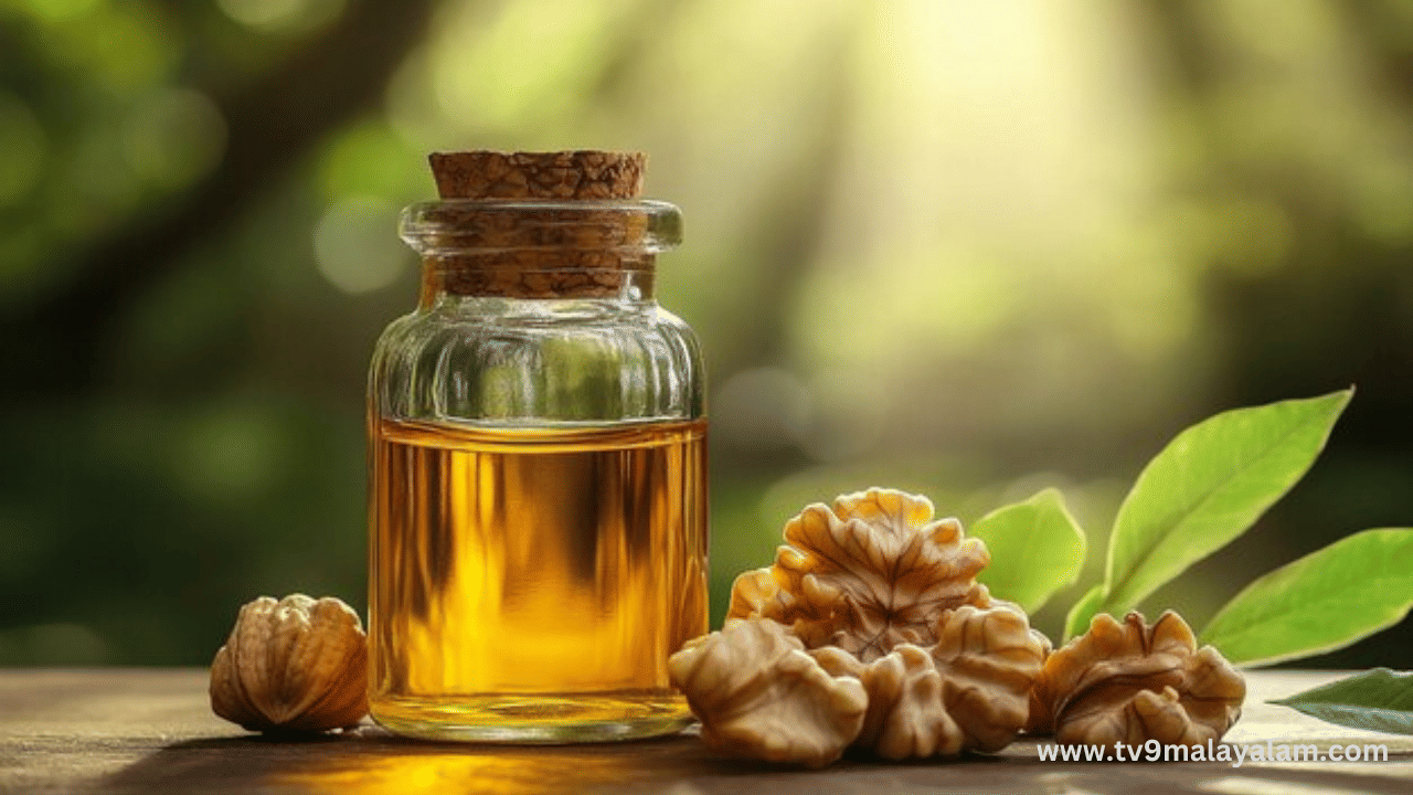 കൂടാതെ വാൾനട്ട് ഓയിൽ ചർമ്മ സംരക്ഷണത്തിനും നല്ലതാണ്. ഇവയിലെ ആന്റി ഓക്സിഡന്റുകളും ഒമേഗ 3 ഫാറ്റി ആസിഡും കൊളാജൻ ഉൽപാദനം വർധിപ്പിക്കുകയും ചർമ്മത്തിലെ ചുളിവുകൾ, വരകൾ എന്നിവ തടയാനും മുഖം യുവത്വമുള്ളതാക്കാനും സഹായിക്കുന്നു. മുഖത്തെ വരൾച്ച അകറ്റാനും കണ്ണിന് ചുറ്റുമുള്ള കറുത്ത പാടുകളെ ഇല്ലാതാക്കാനും ഇത് നല്ല മാർ​ഗമാണ്. (Image Credits: Freepik)