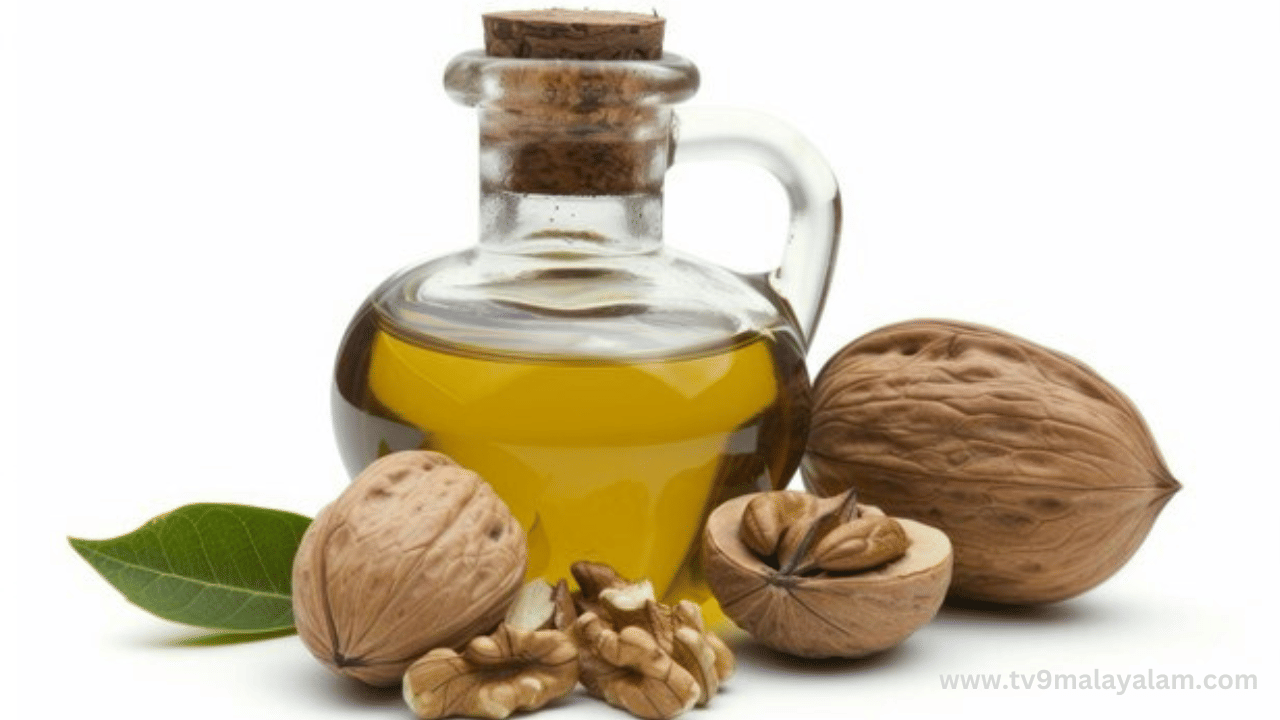 ഒമേഗ 3 ഫാറ്റി ആസിഡിൻറെ മികച്ച ഉറവിടമാണ് വാൾനട്ട് മരത്തിൽ നിന്നും ഉൽപ്പാദിപ്പിക്കുന്ന വാൾനട്ട് ഓയിൽ. കൂടാതെ ഇവയിൽ വിറ്റാമിനുകൾ, ധാതുക്കളും ആൻറി ഓക്സിഡൻറുകളും ധാരാളം അടങ്ങിയിട്ടുണ്ട്. വാൾനട്ട് എണ്ണയിൽ അടങ്ങിയിരിക്കുന്ന വിറ്റാമിൻ ഇ, ബയോട്ടിൻ, മഗ്നീഷ്യം എന്നിവ തലമുടി കരുത്തോടെ വളരാൻ സഹായിക്കുന്നു. (Image Credits: Freepik)