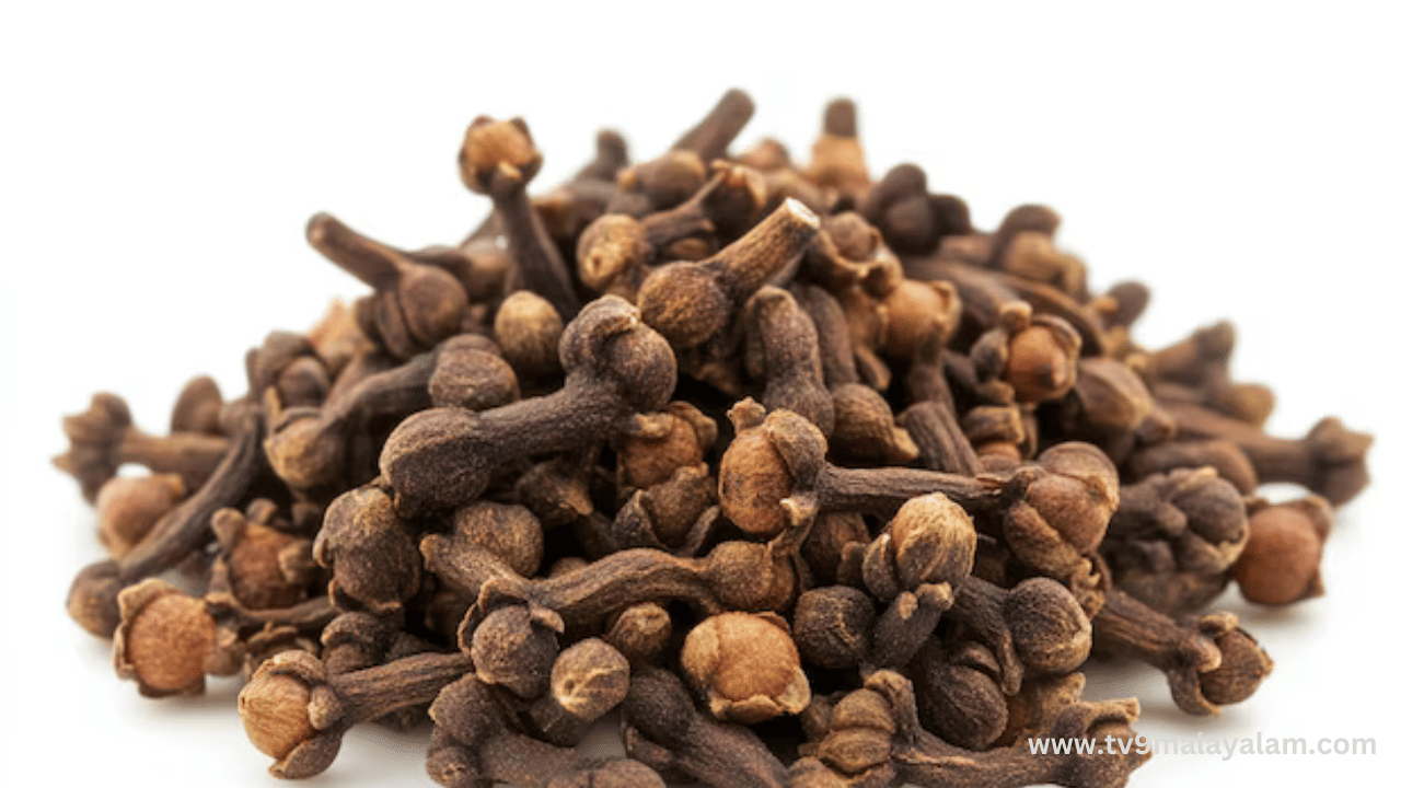 സുഗന്ധവ്യ‍‍ഞ്ജനമായ ഗ്രാമ്പു നമ്മൾ കറികളിൽ ഉപയോ​ഗിക്കാറുണ്ട്. പാചകത്തിലെ ഒരു പ്രധാന ഘടകമായി ഗ്രാമ്പു ഉപയോഗിക്കുന്നുണ്ടെങ്കിലും അതിന്റെ ഔഷധ പ്രാധാന്യത്തെ പറ്റി അത്ര അറിവില്ല. ഗ്രാമ്പുവിന്റെ ഇല, മൊട്ട്, തൊലി, വേര് എന്നിവയെല്ലാം ഔഷധഗുണം ധാരാളമുള്ളവയാണ്. (Image Credits: Freepik)
