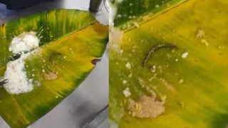 Bomb Threat: കളി കാര്യമായി…. സ്കൂളിന് അവധി കിട്ടാൻ ഒൻപതാം ക്ലാസുകാരൻ്റെ വികൃതി; പോലീസ് അന്വേഷണം