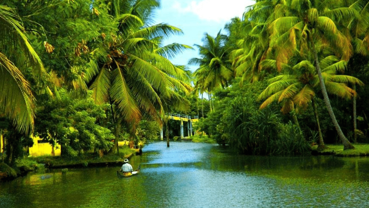 Kerala Piravi: 68-ാം പിറന്നാൾ നിറവിൽ ദൈവത്തിന്റെ സ്വന്തം നാട്; കേരളത്തിനുമുണ്ട് ഒരുപാട് കഥ പറയാൻ Kerala Piravi: 68-ാം പിറന്നാൾ നിറവിൽ ദൈവത്തിന്റെ സ്വന്തം നാട്; കേരളത്തിനുമുണ്ട് ഒരുപാട് കഥ പറയാൻ