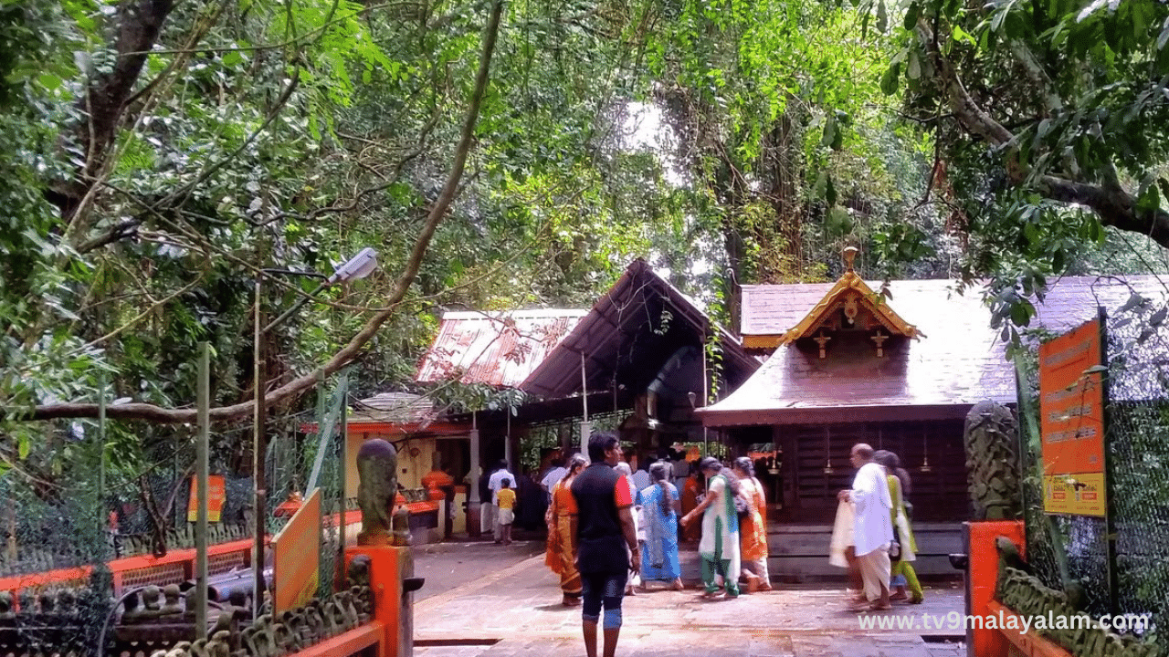 Mannarasala Festival: മണ്ണാറശ്ശാല ആയില്യം മഹോത്സവം; ആലപ്പുഴ ജില്ലയിൽ 26ന് പ്രാദേശിക അവധി Mannarasala Festival: മണ്ണാറശ്ശാല ആയില്യം മഹോത്സവം; ആലപ്പുഴ ജില്ലയിൽ 26ന് പ്രാദേശിക അവധി
