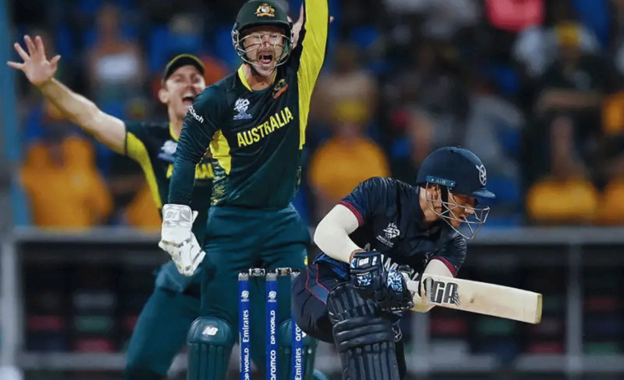 ഏകദിനത്തിൽ 1867 റൺസ് സ്വന്തമാക്കി. ഒരു സെഞ്ച്വറിയും 11 അർദ്ധസെഞ്ചറികളും അടങ്ങുന്നതാണ് വെയ്ഡിന്റെ അന്താരാഷ്ട്ര കരിയർ. ടി20യിൽ മൂന്ന് അർദ്ധ സെഞ്ച്വറികൾ ഉൾപ്പെടെ 1202 റൺസ് നേടി. (Image Credits: Cricket Australia)