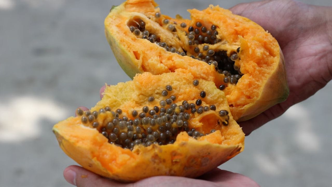 പപ്പായ- പപ്പായ അര കപ്പെടുത്ത് അതിലേക്ക് അര ടേബിള്‍ സ്പൂണ്‍ മഞ്ഞള്‍ ചേര്‍ത്ത് നന്നായി യോജിപ്പിക്കുക. എന്നിട്ട് മുഖത്ത് പുരട്ടി പത്ത് മിനിറ്റിന് ശേഷം തണുത്ത വെള്ളം ഉപയോഗിച്ച് കഴുകി കളയാം. (Image Credits: Unsplash)