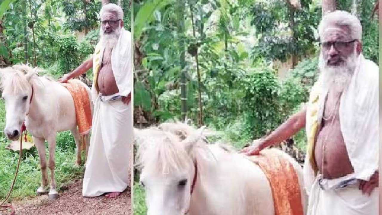 Pujari on Horseback: കണ്ടു.. ഇഷ്ടപ്പെട്ടു...വാങ്ങി; ക്ഷേത്രത്തിൽ എത്താൻ നാരായണൻ നമ്പൂതിരിക്ക് കൂട്ട് റാണി