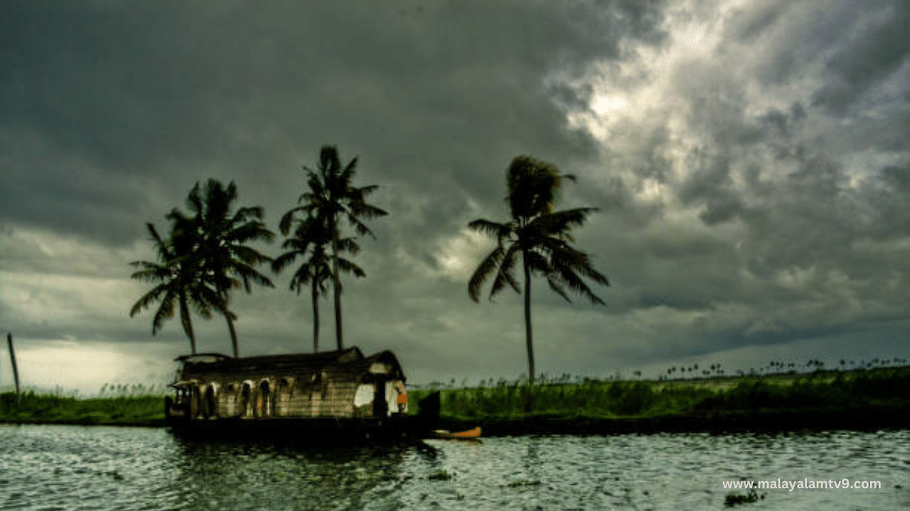 Kerala Rain Alert: വീണ്ടും പേമാരി... സംസ്ഥാനത്ത് മഴ കനക്കും; ആറ് ജില്ലകളിൽ യെല്ലോ അലർട്ട്