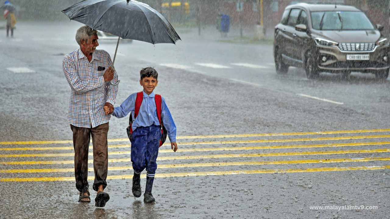 Kerala Rain Alert: ശക്തമായ മഴയും ഇടിമിന്നലും; 7 ജില്ലകളിൽ യെല്ലോ അലർട്ട്, ജാഗ്രത മുന്നറിയിപ്പ്