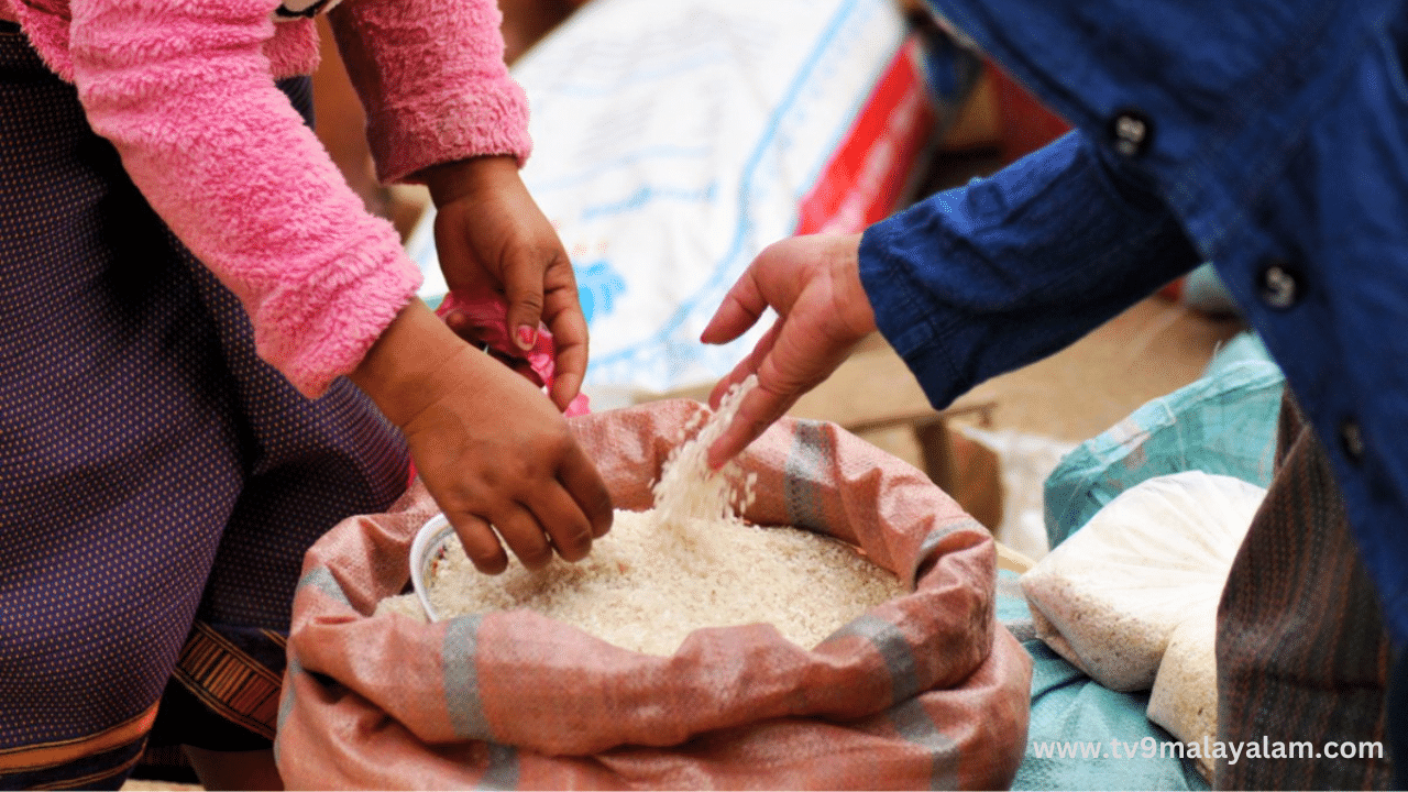 November Ration Distribution: നവംബർ ഒന്നിന് റേഷൻ വിതരണം ഉണ്ടാകില്ല...?; ഓരോ കാർഡിനും ലഭിക്കുന്ന വിഹിതം എന്തെല്ലാം, വിശദവിവരങ്ങൾ