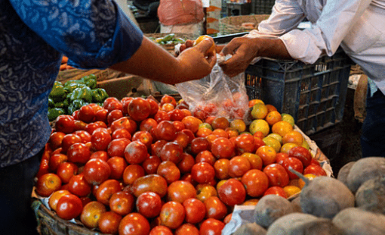 Tomato Price Hike: അടുക്കള ബജറ്റ് താളം തെറ്റും; റോക്കറ്റ് പോലെ കുതിച്ചുയർന്ന് തക്കാളി വില Tomato Price Hike: അടുക്കള ബജറ്റ് താളം തെറ്റും; റോക്കറ്റ് പോലെ കുതിച്ചുയർന്ന് തക്കാളി വില