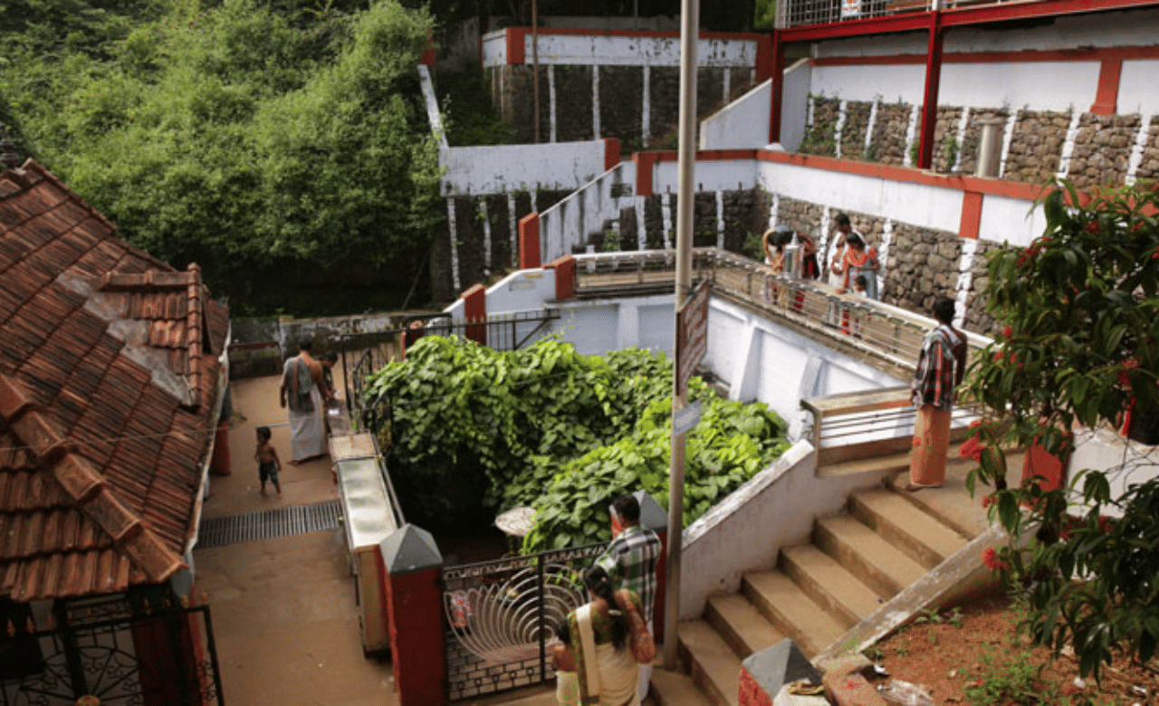 പനച്ചിക്കാട് സരസ്വതി ക്ഷേത്രം:  ദക്ഷിണ മൂകാംബികയെന്നാണ് ക്ഷേത്രം അറിയപ്പെടുന്നത്. കോട്ടയം ജില്ലയിൽ സ്ഥിതി ചെയ്യുന്ന ക്ഷേത്രത്തിൽ  വിശേഷാൽ പൂജകളായ മുറജപം, പുരുഷ സൂക്താർച്ചന, പുഷ്പാഭിഷേകം, നിറമാല, സാരസ്വത സൂക്താർച്ചന എന്നിവ നവരാത്രി ദിവസങ്ങളിലെ പ്രത്യേക വഴിപാടാണ്. (Image Credits: Panachikkad Saraswathi Temple/ Kerala Tourism)