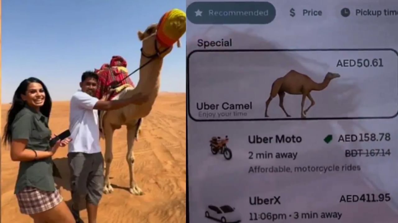 Uber App : മരുഭൂമിയിൽ കുടുങ്ങിയതോടെ ഊബർ ആപ്പിലൂടെ ഒട്ടകത്തെ വിളിച്ച് യുവതി; വിഡിയോ വൈറൽ Uber App : മരുഭൂമിയിൽ കുടുങ്ങിയതോടെ ഊബർ ആപ്പിലൂടെ ഒട്ടകത്തെ വിളിച്ച് യുവതി; വിഡിയോ വൈറൽ
