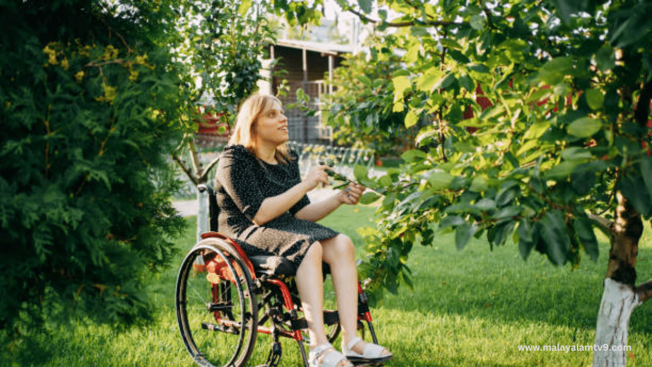 World Cerebral Palsy Day: സെറിബ്രൽ പാൾസി എങ്ങനെ തിരിച്ചറിയാം? ഇതിൻ്റെ ലക്ഷണങ്ങളും കാരണങ്ങളുമറിയാം World Cerebral Palsy Day: സെറിബ്രൽ പാൾസി എങ്ങനെ തിരിച്ചറിയാം? ഇതിൻ്റെ ലക്ഷണങ്ങളും കാരണങ്ങളുമറിയാം