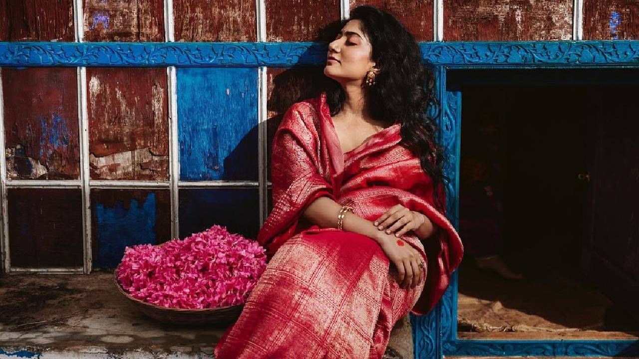 അതുകൊണ്ട് തന്നെ തെന്നിന്ത്യന്‍ സിനിമയില്‍ വലിയ തുക പ്രതിഫലം വാങ്ങിക്കുന്ന അപൂര്‍വ്വം നടിമാരില്‍ ഒരാളായി താരം മാറികഴിഞ്ഞു. ഒരു സിനിമയ്ക്ക് മാത്രം കോടികളാണ് നടിയുടെ പ്രതിഫലം.ഇപ്പോഴിതാ താരത്തിന്റെ പുതിയ ചിത്രമായ അമരൻ നാളെ തീയറ്ററുകളിലേക്ക് എത്താൻ പോകുകയാണ്. (image credits: instagram)