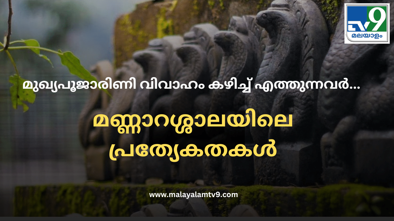 Mannarasala Ayilyam 2024 : അമ്മയുടെ മടിയിൽ സർപ്പക്കുഞ്ഞുങ്ങൾ ഇഴയും, മുഖ്യപൂജാരിണി വിവാഹം കഴിച്ച് എത്തുന്നവർ… മണ്ണാറശ്ശാലയിലെ പ്രത്യേകതകൾ ഏറെ Mannarasala Ayilyam 2024 : അമ്മയുടെ മടിയിൽ സർപ്പക്കുഞ്ഞുങ്ങൾ ഇഴയും, മുഖ്യപൂജാരിണി വിവാഹം കഴിച്ച് എത്തുന്നവർ… മണ്ണാറശ്ശാലയിലെ പ്രത്യേകതകൾ ഏറെ