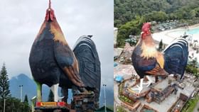 Chicken-Shaped Hotel: സൂക്ഷിച്ചു നോക്കണ്ട ഉണ്ണീ ഇതു ഞാനല്ല! തലയെടുപ്പോടെ നില്‍ക്കുന്നത് ഒരു കോഴിയല്ല, ഹോട്ടലാണ്