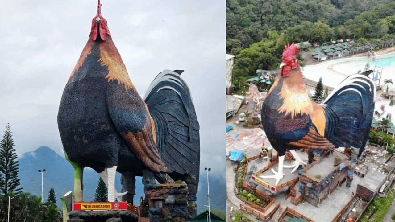 Chicken-Shaped Hotel: സൂക്ഷിച്ചു നോക്കണ്ട ഉണ്ണീ ഇതു ഞാനല്ല! തലയെടുപ്പോടെ നില്‍ക്കുന്നത് ഒരു കോഴിയല്ല, ഹോട്ടലാണ്