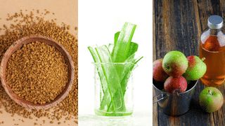 Veg dog food: വെജിറ്റേറിയൻ വളർത്തു നായയെ വേണോ… ഈ ഭക്ഷണങ്ങൾ പരിശീലിപ്പിക്കൂ…