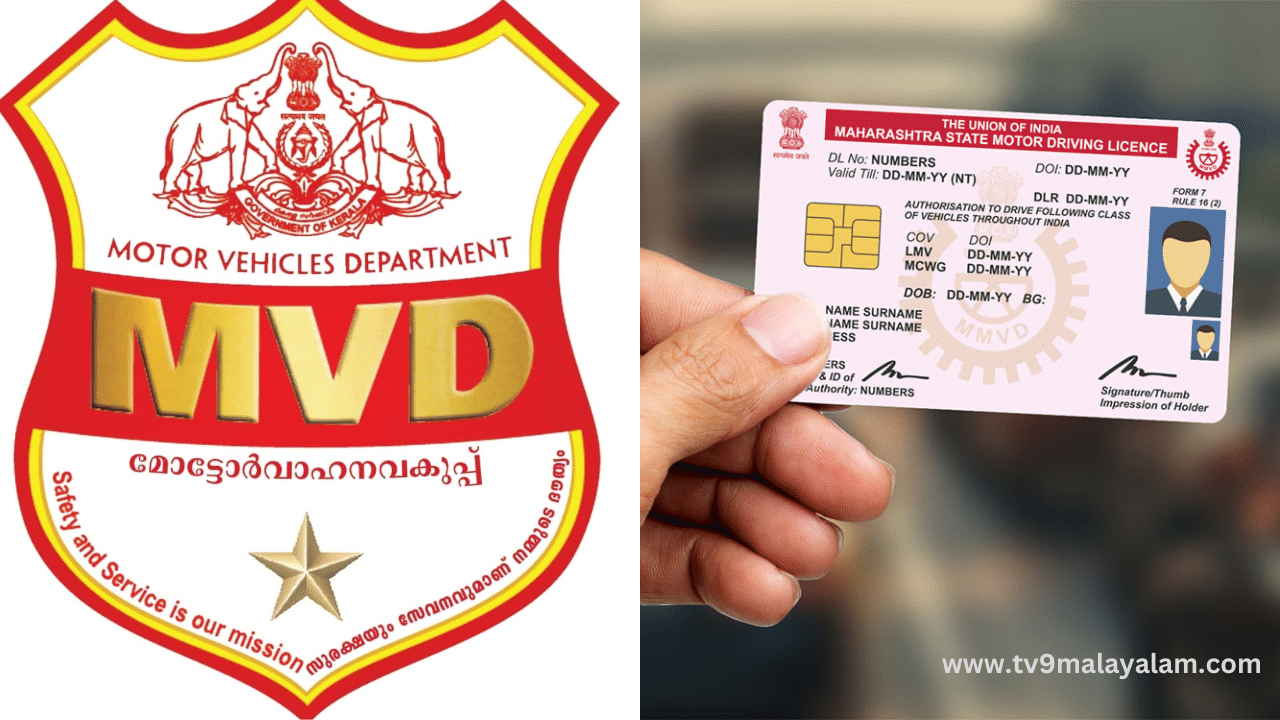 Digital Driving License: ലൈസൻസ് ഇനി ഫോണിൽ മതി...; സംസ്ഥാനത്ത് പുതിയ അപേക്ഷകർക്ക് ഡിജിറ്റൽ ഡ്രൈവിങ് ലൈസൻസ്