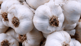 Garlic Rate: കുതിച്ചുകയറി വെളുത്തുള്ളി; കിലോയ്ക്ക് വില 440 രൂപ കടന്നു